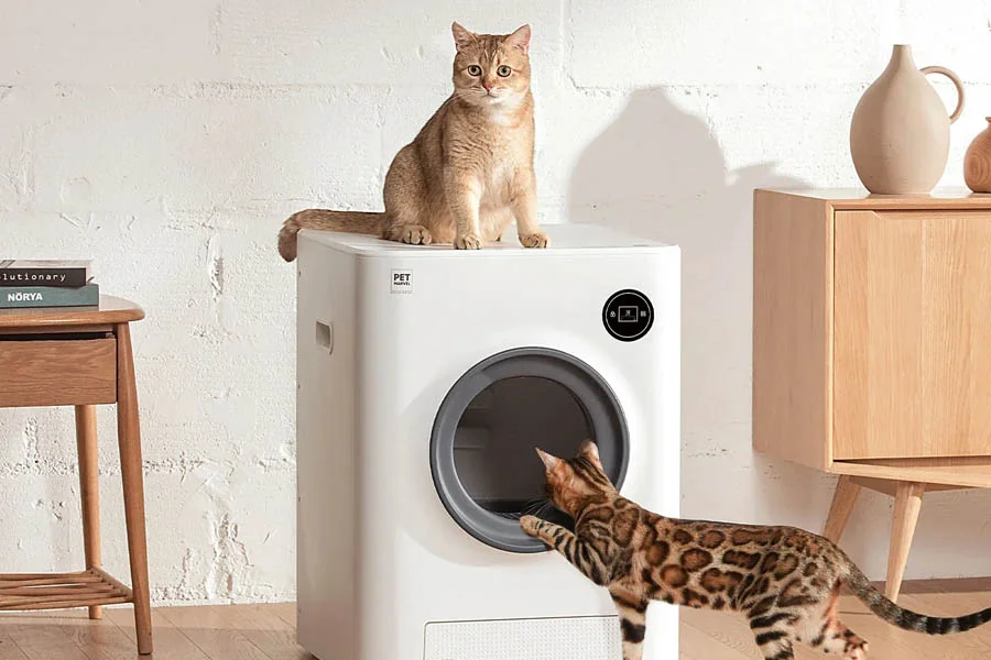 best cat litter box for odor